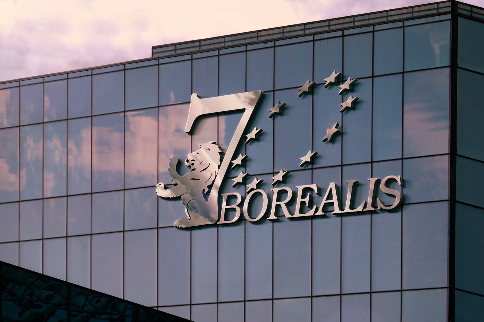 mockupcorpo borealis