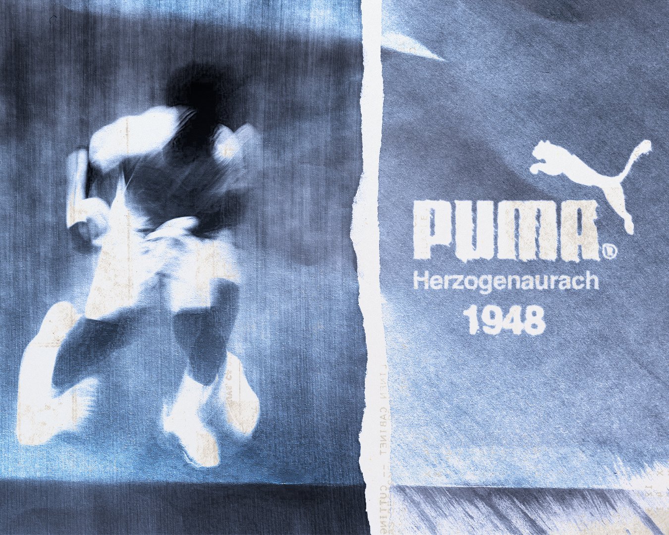 puma